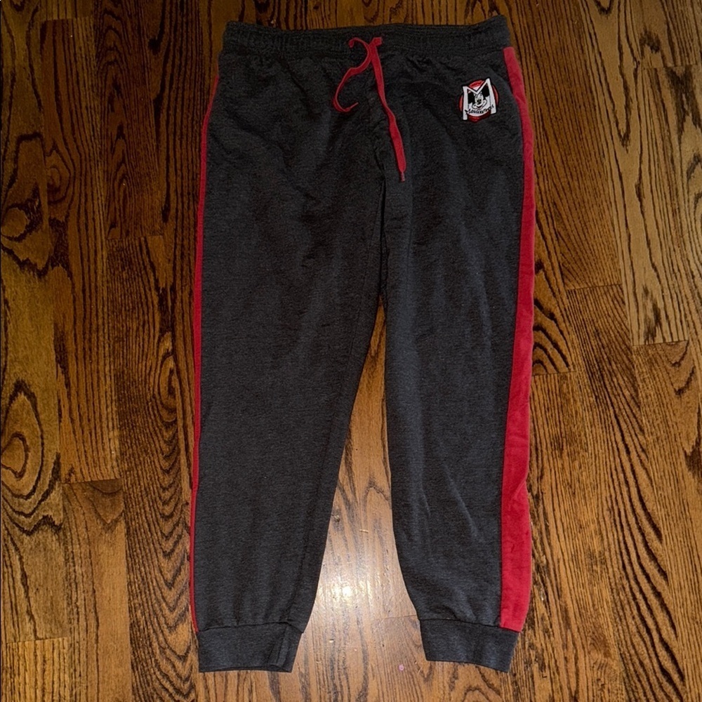 Disney Parks womens grey with red racing stripe joggers size X-large